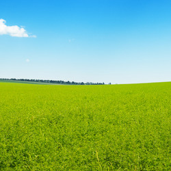 Similar image 6766260