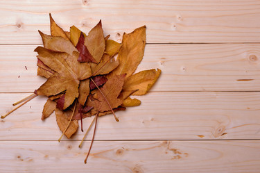 Similar image 6766371