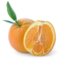 Similar image 6766386