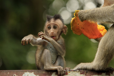 Similar image 6766739