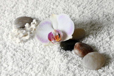 Similar image 6766740