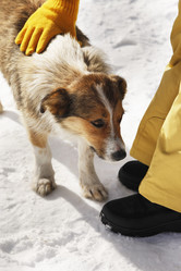 Similar image 6766741