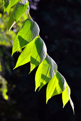 Similar image 6772071