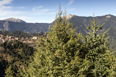 Similar image 6772180