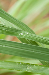 Similar image 6773434