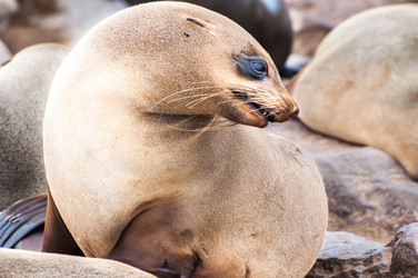 Similar image 6773439