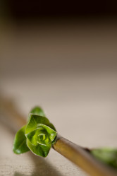 Similar image 6773528