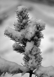 Similar image 6773539