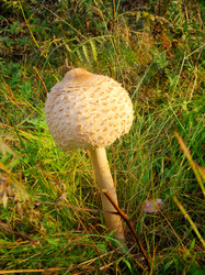 Similar image 6774365