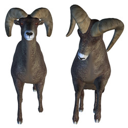 Similar image 6774384