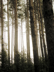 Similar image 6774392