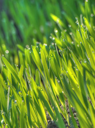 Similar image 6774466