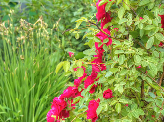 Similar image 6774471