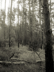 Similar image 6774475