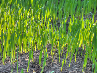 Similar image 6774476