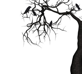 Similar image 6774483