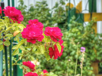 Similar image 6774527