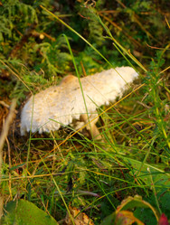 Similar image 6774530