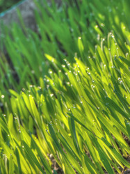 Similar image 6774533