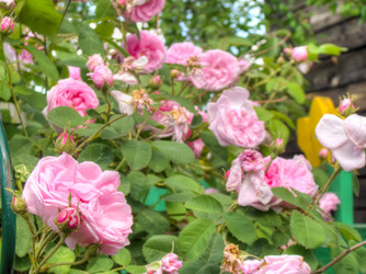 Similar image 6774589