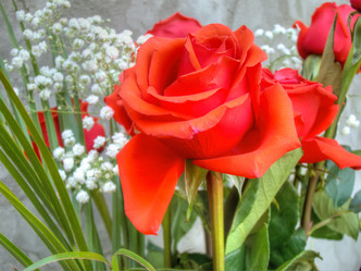 Similar image 6774595