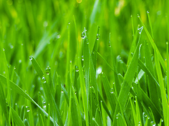 Similar image 6774611