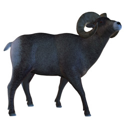 Similar image 6774627