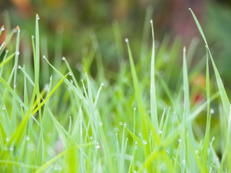 Similar image 6774656