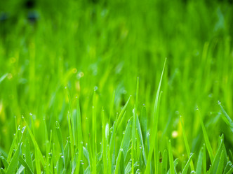 Similar image 6774687