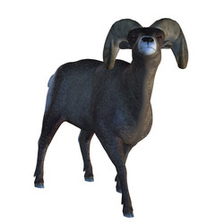 Similar image 6774695