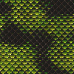 Similar image 6774710