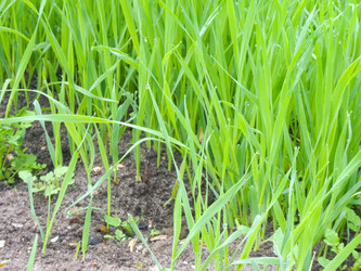 Similar image 6774716