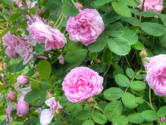 Similar image 6774728