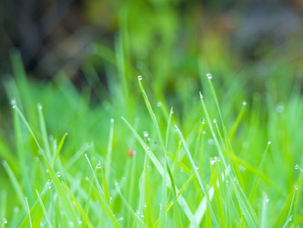 Similar image 6774748