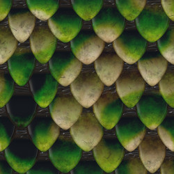 Similar image 6774767