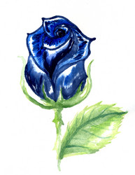 Similar image 6774809