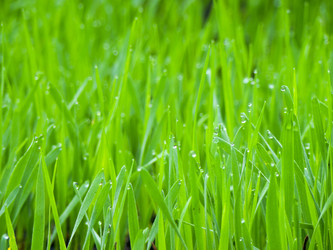 Similar image 6774837