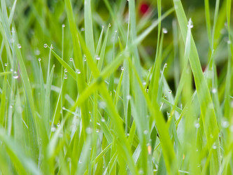 Similar image 6774878