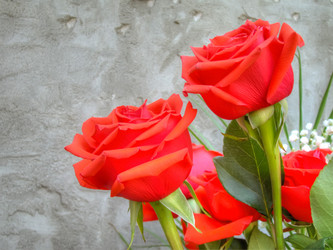 Similar image 6774895