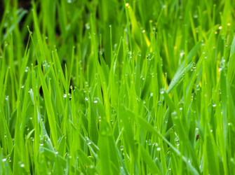 Similar image 6774898