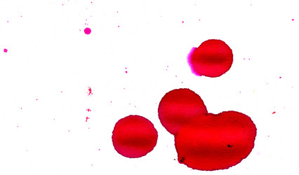 Similar image 6775012