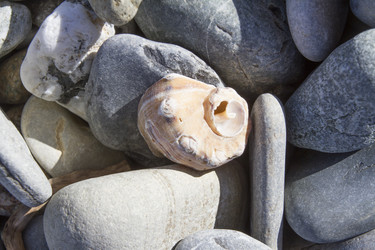 Similar image 6775273