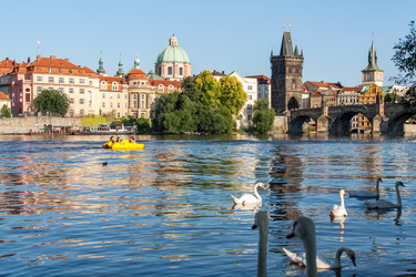 Similar image 6776142