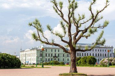 Similar image 6776208