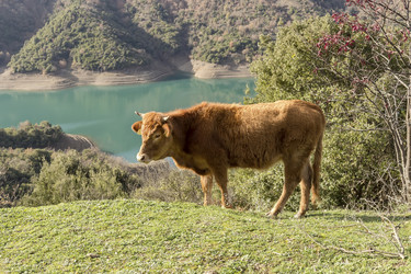 Similar image 6780944