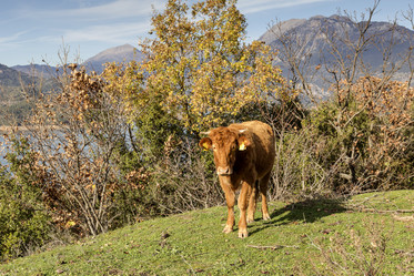 Similar image 6780945