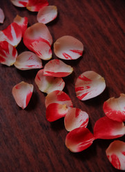 Similar image 6780960