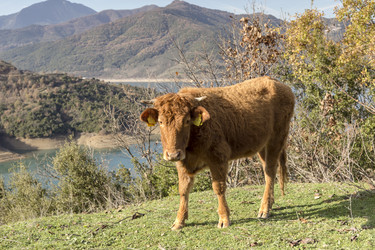 Similar image 6780986