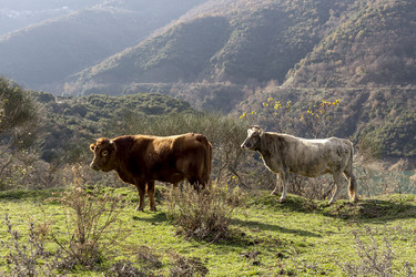 Similar image 6780988