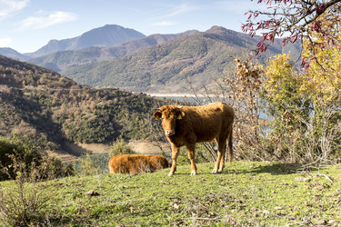 Similar image 6780989